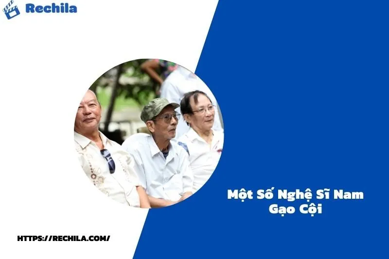 Một Số Diễn Viên Nam Lão Làng Khác
